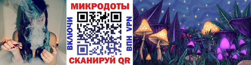 Псилоцибиновые грибы Cubensis  Десногорск 