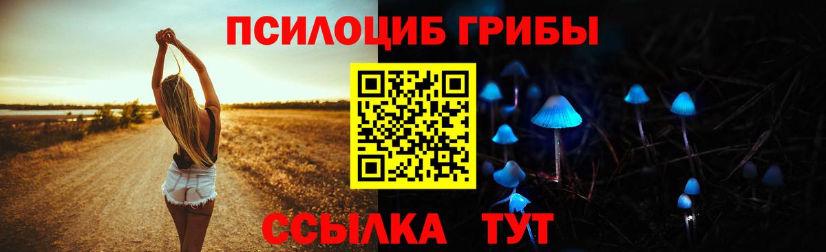 Галлюциногенные грибы мицелий  Вход с VPN  Десногорск 